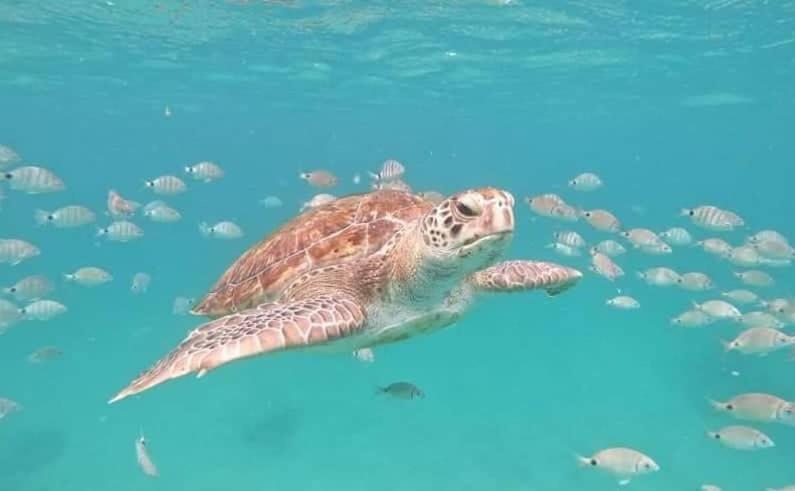 ホテル Casa Jpi São Pedro エクステリア 写真