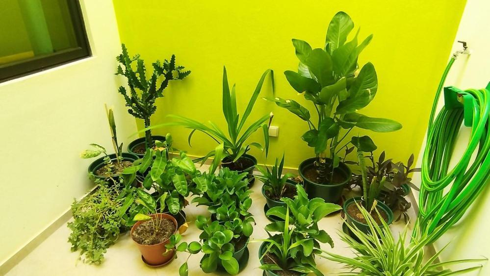 ホテル Casa Jpi São Pedro エクステリア 写真